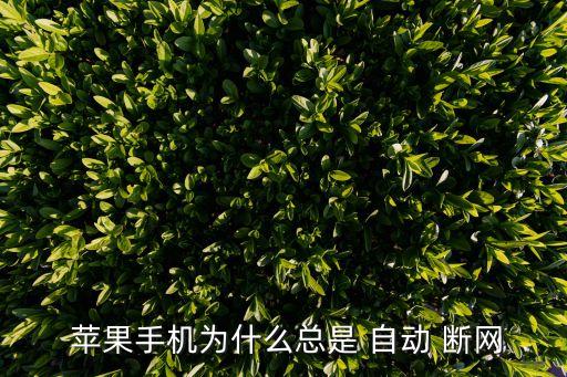  蘋果手機為什么總是 自動 斷網(wǎng)