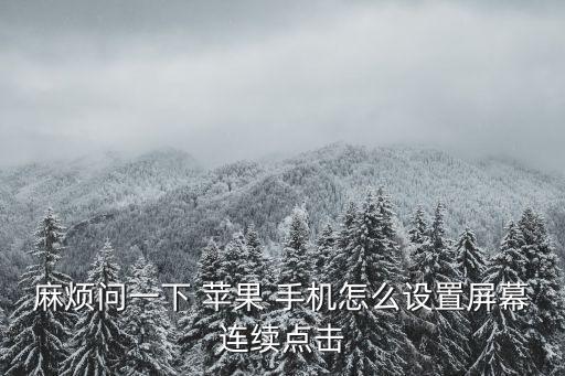 麻煩問一下 蘋果 手機(jī)怎么設(shè)置屏幕連續(xù)點(diǎn)擊