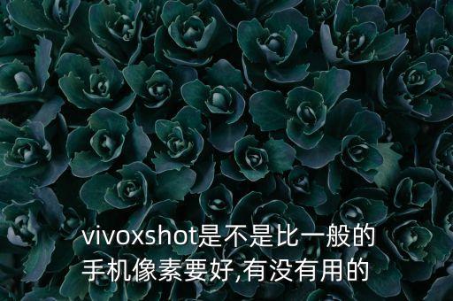 vivoxshot自動(dòng)拍照