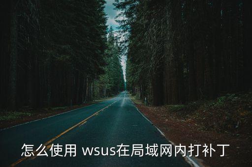 怎么使用 wsus在局域網(wǎng)內(nèi)打補(bǔ)丁