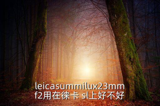 leicasummilux23mmf2用在徠卡 sl上好不好