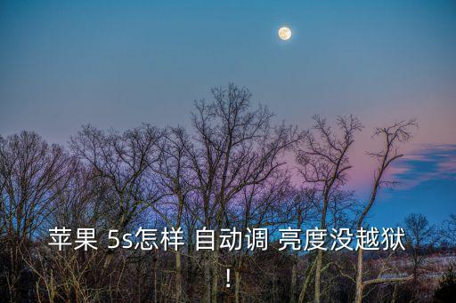 蘋果 5s怎樣 自動調(diào) 亮度沒越獄!