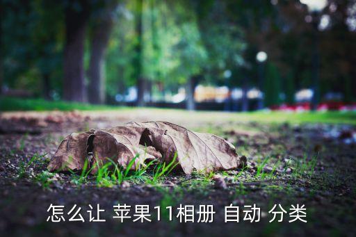 怎么讓 蘋果11相冊 自動 分類
