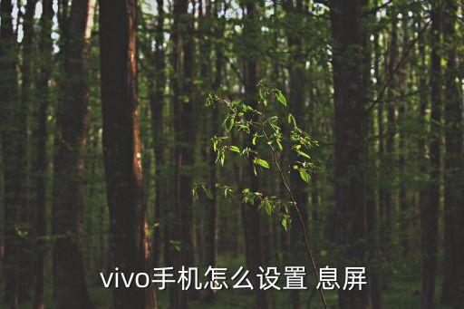 vivo自動息屏,vivo如何自行設(shè)置手機息屏開機?
