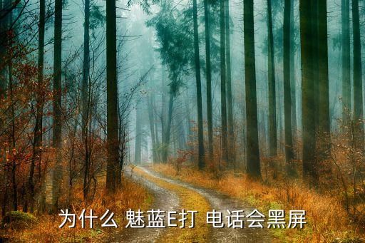 為什么 魅藍(lán)E打 電話會(huì)黑屏