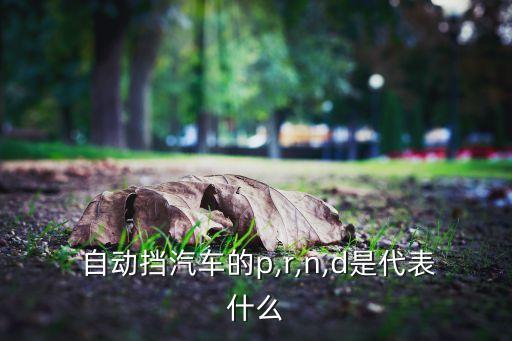 自動波的p,4.n擋意思是空擋汽車臨時停車需掛的擋位