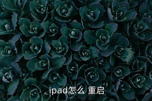  ipad怎么 重啟