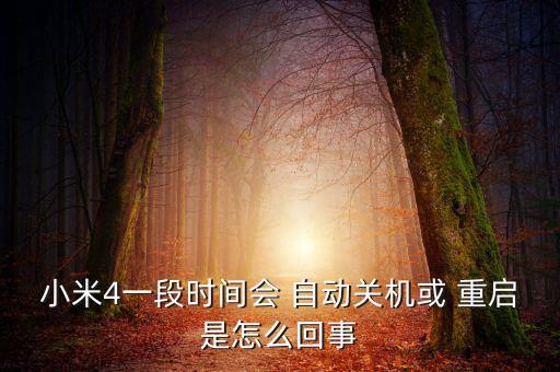 小米4一段時(shí)間會(huì) 自動(dòng)關(guān)機(jī)或 重啟是怎么回事