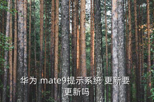 華為 mate9提示系統(tǒng) 更新要 更新嗎