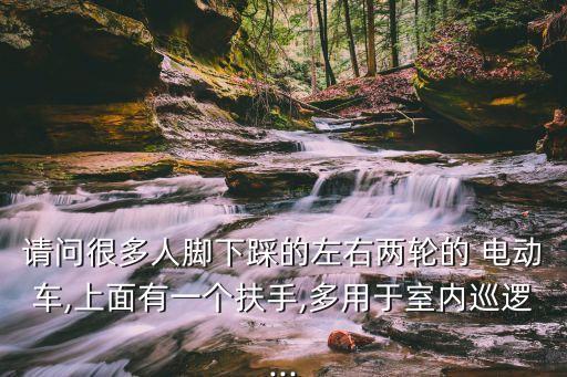 請問很多人腳下踩的左右兩輪的 電動車,上面有一個扶手,多用于室內(nèi)巡邏...