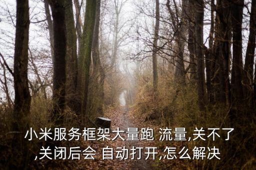  小米服務(wù)框架大量跑 流量,關(guān)不了,關(guān)閉后會 自動打開,怎么解決
