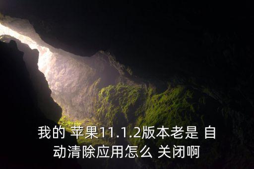 我的 蘋果11.1.2版本老是 自動(dòng)清除應(yīng)用怎么 關(guān)閉啊