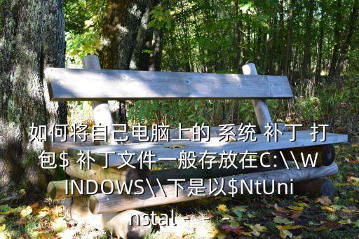 如何將自己電腦上的 系統(tǒng) 補(bǔ)丁 打包$ 補(bǔ)丁文件一般存放在C:\\WINDOWS\\下是以$NtUninstal－－－