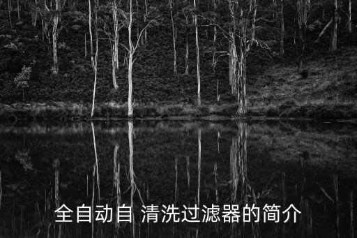 全自動自 清洗過濾器的簡介
