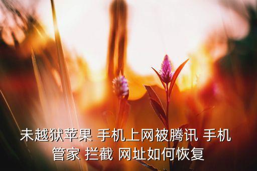 手機管家自動攔截網(wǎng)址,手機管家提供智能惡意網(wǎng)址檢測