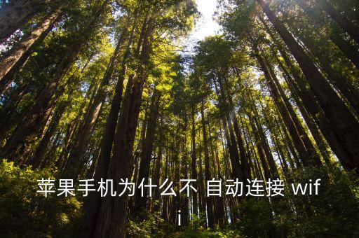 ios wifi自動加入,如何進(jìn)行wifi安全咨詢?