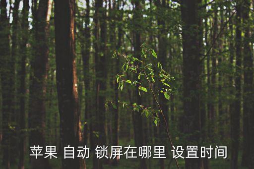 設(shè)置蘋果手機(jī)自動(dòng)鎖屏,蘋果手機(jī)應(yīng)用商店下載安全設(shè)置