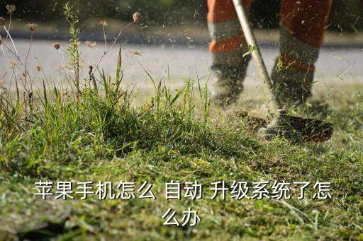 蘋果怎么會(huì)自動(dòng)升級(jí),蘋果手機(jī)經(jīng)常提示自動(dòng)更新系統(tǒng)擴(kuò)展信息