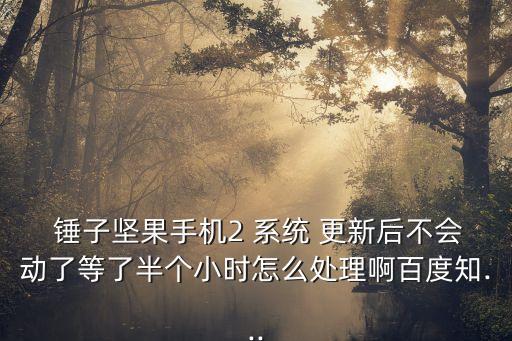 錘子關(guān)閉系統(tǒng)自動更新,如何進(jìn)行錘子系統(tǒng)升級?一文看懂