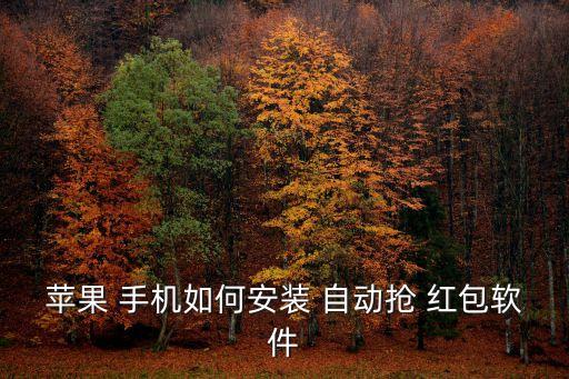 蘋果 手機(jī)如何安裝 自動(dòng)搶 紅包軟件