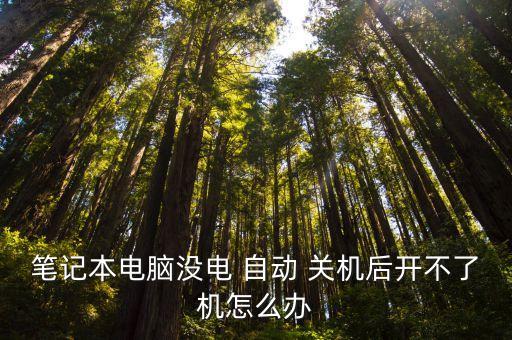 筆記本電腦沒電 自動(dòng) 關(guān)機(jī)后開不了機(jī)怎么辦