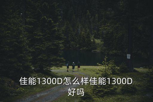 1300d能自動對焦嗎,佳能相機的序列號