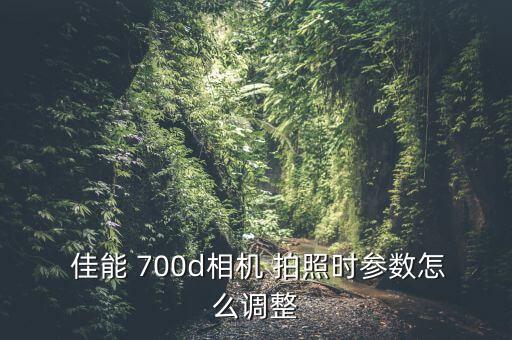  佳能 700d相機(jī) 拍照時(shí)參數(shù)怎么調(diào)整