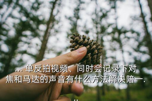 ... 單反拍視頻、同時會記錄下對焦和馬達的聲音有什么方法解決陪一...