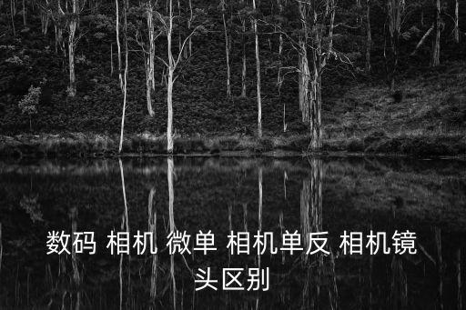 數(shù)碼 相機(jī) 微單 相機(jī)單反 相機(jī)鏡頭區(qū)別