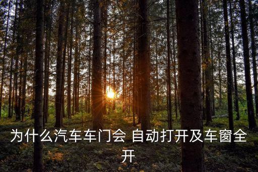 為什么汽車車門會(huì) 自動(dòng)打開及車窗全開