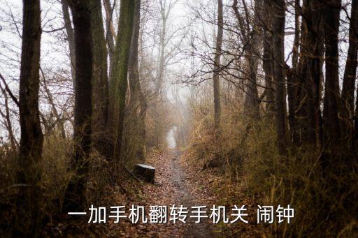  一加手機翻轉(zhuǎn)手機關(guān) 鬧鐘