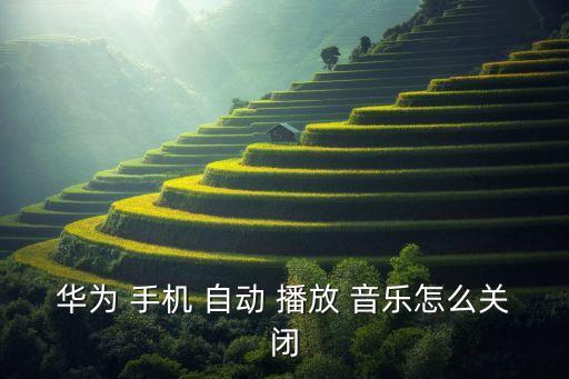 手機起床自動播放音樂,藍(lán)牙設(shè)備自動播放音樂如何正確操作?