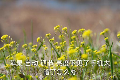 蘋果 自動 調(diào)節(jié) 亮度不見了手機太暗了怎么辦