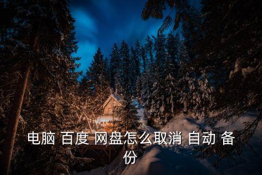 電腦 百度 網(wǎng)盤怎么取消 自動(dòng) 備份