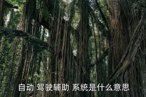  自動(dòng) 駕駛輔助 系統(tǒng)是什么意思