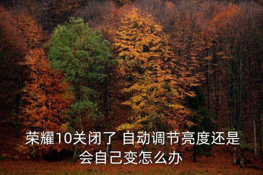 榮耀手機自動感光,手機攝像頭壞了怎么辦?別慌!