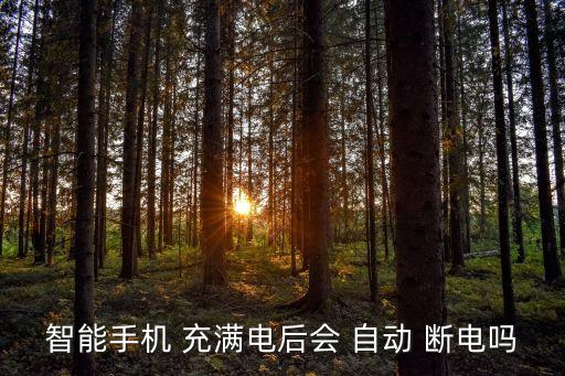 智能手機(jī) 充滿電后會(huì) 自動(dòng) 斷電嗎