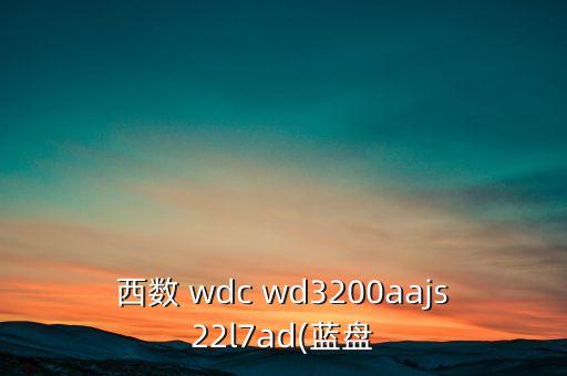 西數(shù) wdc wd3200aajs22l7ad(藍盤