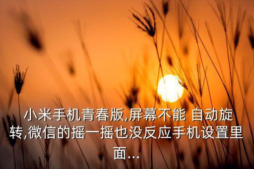 小米自動轉(zhuǎn)屏不靈,小米home怎么操作?