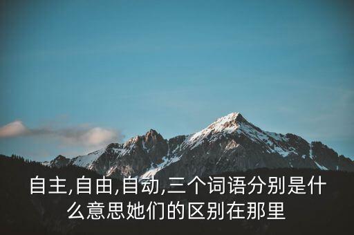 自主,自由,自動,三個詞語分別是什么意思她們的區(qū)別在那里