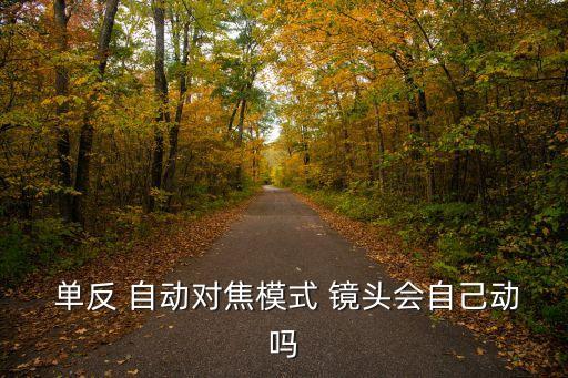 單反自動推鏡頭,自動對焦不算單反鏡頭!