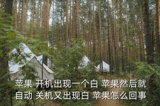  蘋果 開機出現(xiàn)一個白 蘋果然后就 自動 關機又出現(xiàn)白 蘋果怎么回事