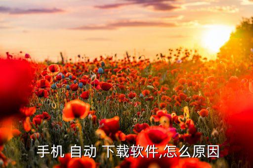 手機(jī) 自動(dòng) 下載軟件,怎么原因