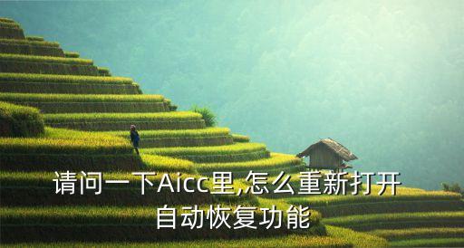 請(qǐng)問(wèn)一下Aicc里,怎么重新打開(kāi) 自動(dòng)恢復(fù)功能
