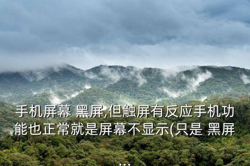 手機(jī)屏幕 黑屏,但觸屏有反應(yīng)手機(jī)功能也正常就是屏幕不顯示(只是 黑屏...