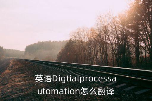 英語Digtialprocessautomation怎么翻譯