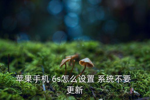 6s自動(dòng)更新系統(tǒng)怎么關(guān),系統(tǒng)更新完成后如何進(jìn)行?