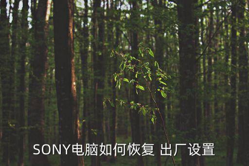 SONY電腦如何恢復(fù) 出廠設(shè)置