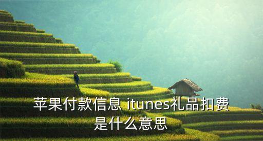 蘋果付款信息 itunes禮品扣費是什么意思