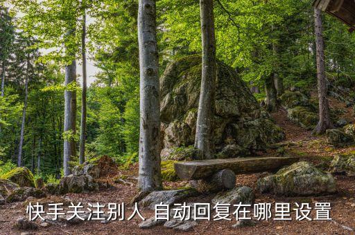  快手關注別人 自動回復在哪里設置